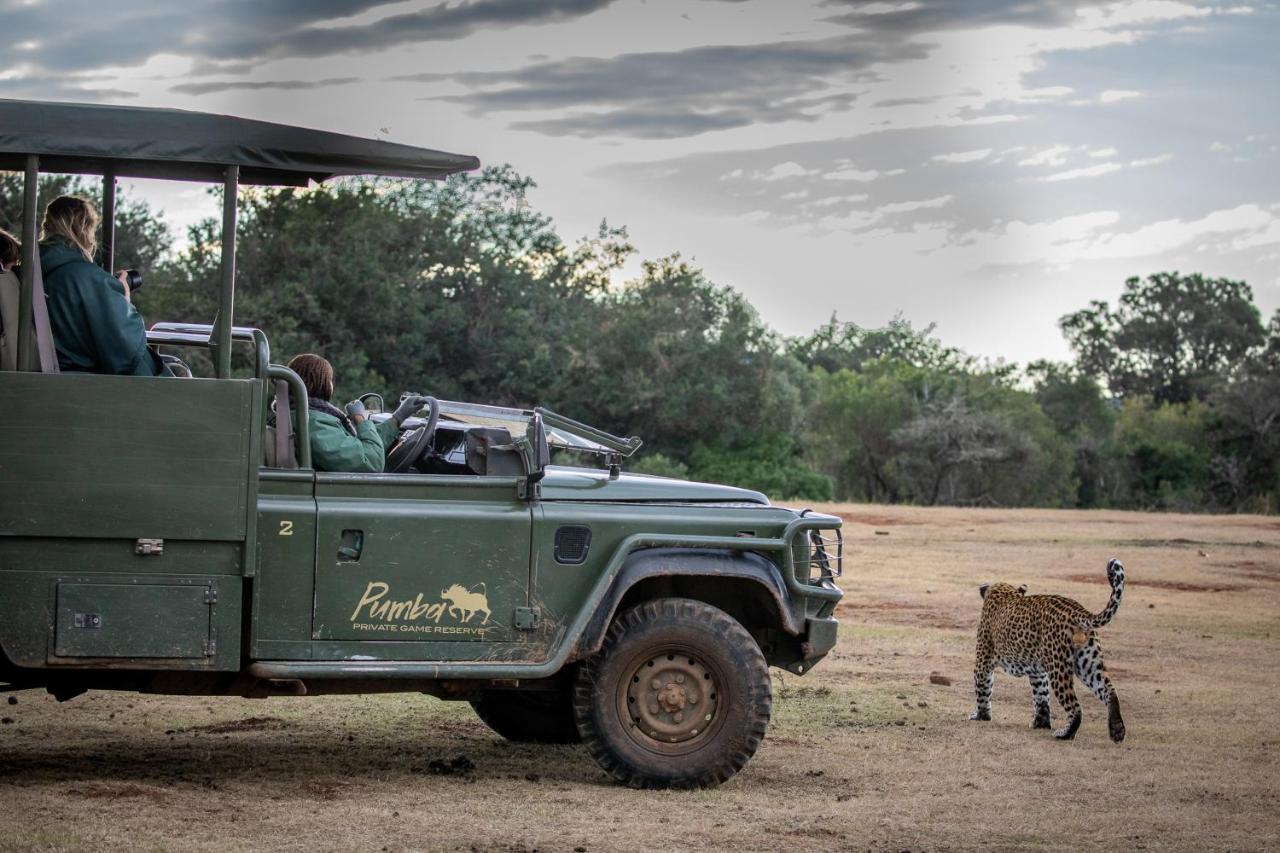 Pumba Private Game Reserve Ґрейамстаун Екстер'єр фото