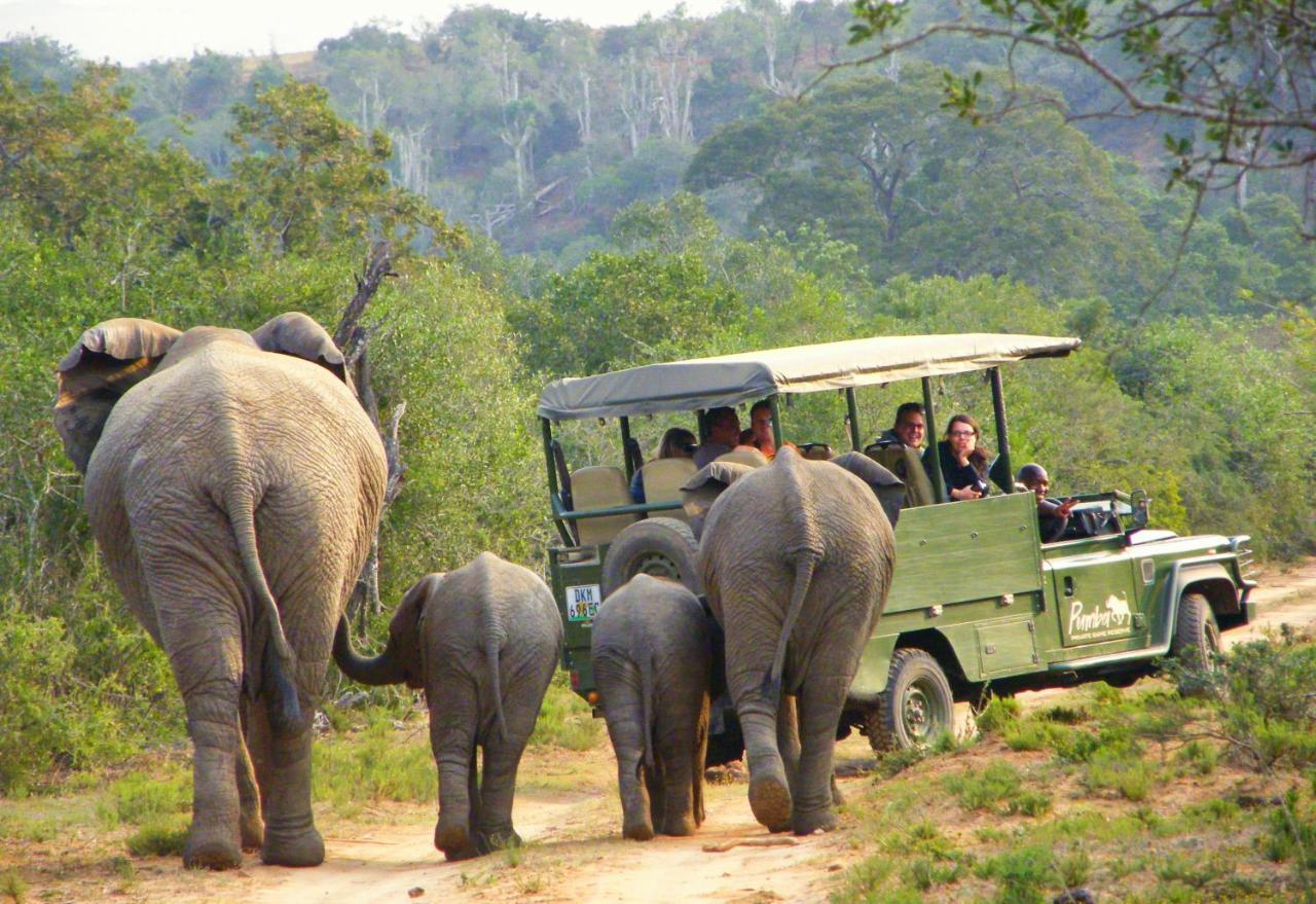 Pumba Private Game Reserve Ґрейамстаун Екстер'єр фото